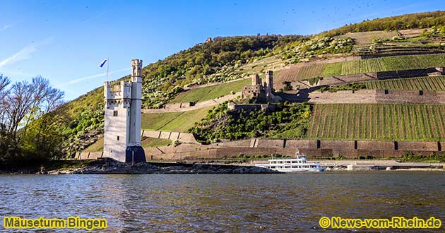 Maeuseturm Bingen und Burg Ehrenfels in Ruedesheim